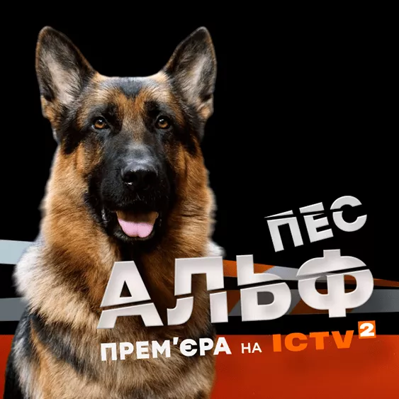 Пес Альф